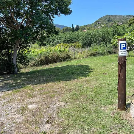 Il Micio