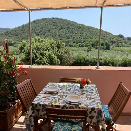 Apartamento Il Micio
