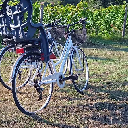 Il Micio Apartamento Marina di Campo